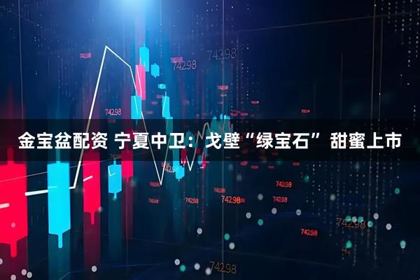 金宝盆配资 宁夏中卫：戈壁“绿宝石” 甜蜜上市
