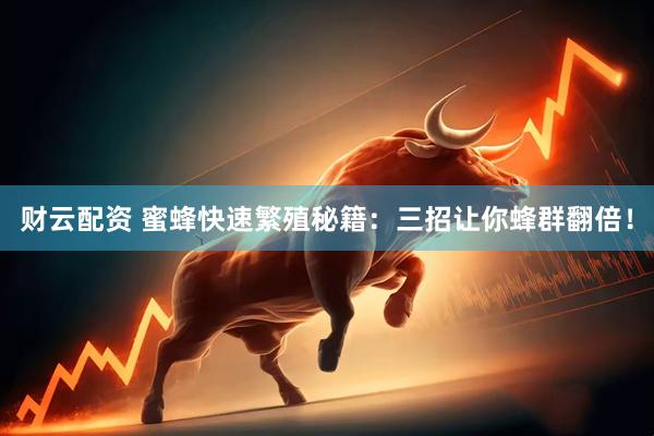 财云配资 蜜蜂快速繁殖秘籍：三招让你蜂群翻倍！