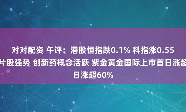 对对配资 午评：港股恒指跌0.1% 科指涨0.55% 芯片股强势 创新药概念活跃 紫金黄金国际上市首日涨超60%